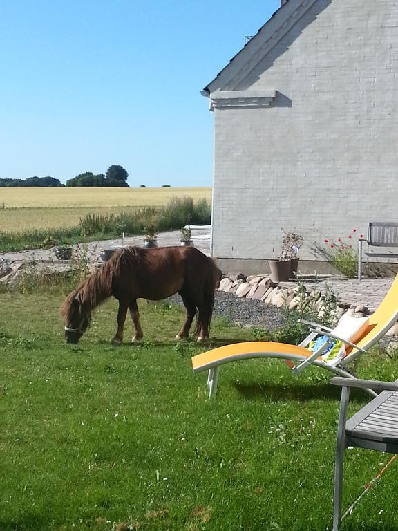 Roskilde B&B Gadstrup Eksteriør bilde