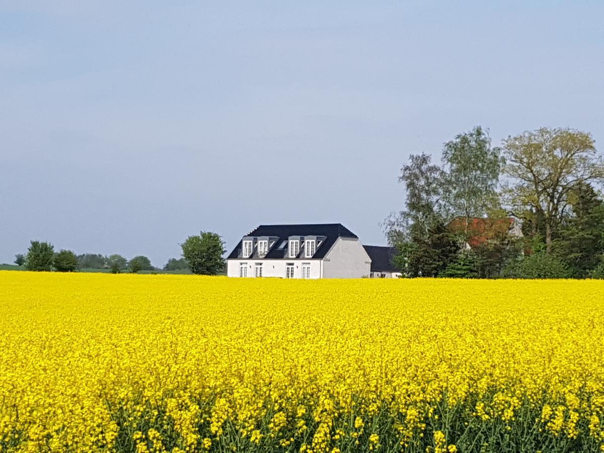 Roskilde B&B Gadstrup Eksteriør bilde