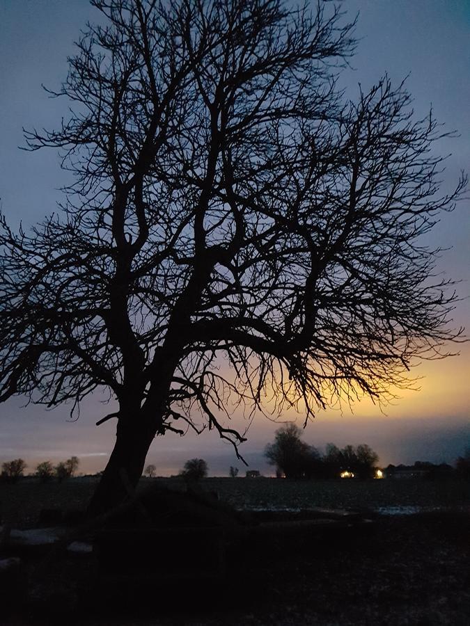 Roskilde B&B Gadstrup Eksteriør bilde