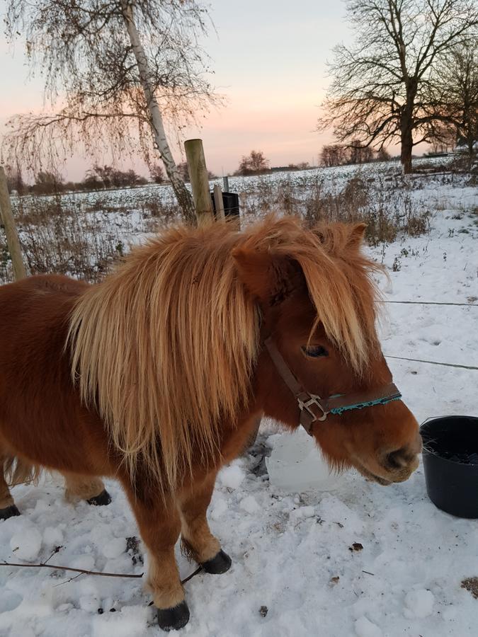 Roskilde B&B Gadstrup Eksteriør bilde